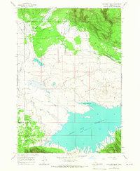 Download a high-resolution, GPS-compatible USGS topo map for Icehouse Creek, ID (1967 edition)