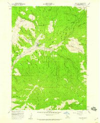 preview thumbnail of historical topo map of Idaho City, Boise County, ID in 1957