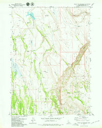 Download a high-resolution, GPS-compatible USGS topo map for Indian Hay Meadows, ID (1979 edition)