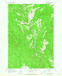 Download a high-resolution, GPS-compatible USGS topo map for Indian Mountain, ID (1965 edition)