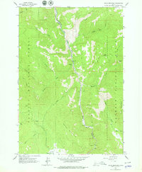 Download a high-resolution, GPS-compatible USGS topo map for Indian Mountain, ID (1979 edition)