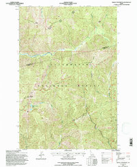 Download a high-resolution, GPS-compatible USGS topo map for Indian Postoffice, ID (1997 edition)