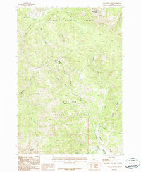 Download a high-resolution, GPS-compatible USGS topo map for Iron Creek Point, ID (1987 edition)