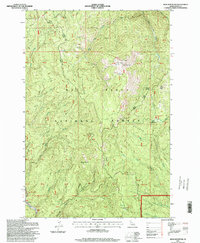Download a high-resolution, GPS-compatible USGS topo map for Iron Mountain, ID (1999 edition)