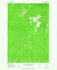 Download a high-resolution, GPS-compatible USGS topo map for Iron Mtn, ID (1964 edition)