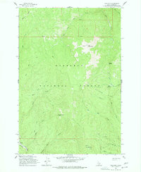 Download a high-resolution, GPS-compatible USGS topo map for Iron Mtn, ID (1977 edition)