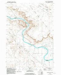Download a high-resolution, GPS-compatible USGS topo map for Jackass Butte, ID (1992 edition)