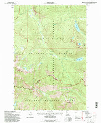 Download a high-resolution, GPS-compatible USGS topo map for Jeanette Mountain, ID (1997 edition)
