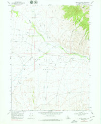 Download a high-resolution, GPS-compatible USGS topo map for Jim Sage Canyon, ID (1979 edition)