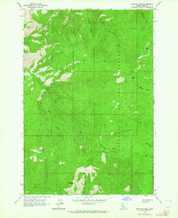 Download a high-resolution, GPS-compatible USGS topo map for John Day Mtn, ID (1964 edition)