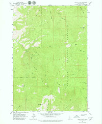Download a high-resolution, GPS-compatible USGS topo map for John Day Mtn, ID (1979 edition)