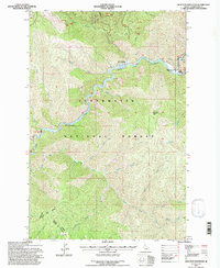 preview thumbnail of historical topo map of Clearwater County, ID in 1994