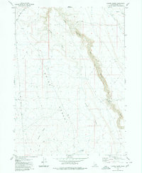 Download a high-resolution, GPS-compatible USGS topo map for Juniper Butte, ID (1980 edition)