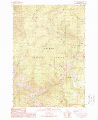 Download a high-resolution, GPS-compatible USGS topo map for Jureano Mountain, ID (1989 edition)