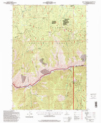 Download a high-resolution, GPS-compatible USGS topo map for Kelly Mountain, ID (1999 edition)