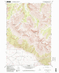 preview thumbnail of historical topo map of Custer County, ID in 1962