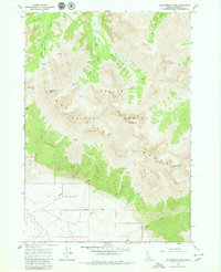 Download a high-resolution, GPS-compatible USGS topo map for Leatherman Peak, ID (1980 edition)