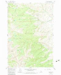 Download a high-resolution, GPS-compatible USGS topo map for Lem Peak, ID (1983 edition)