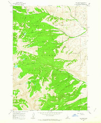 Download a high-resolution, GPS-compatible USGS topo map for Lem Peak, ID (1964 edition)