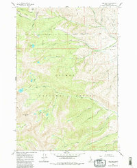 Download a high-resolution, GPS-compatible USGS topo map for Lem Peak, ID (1983 edition)