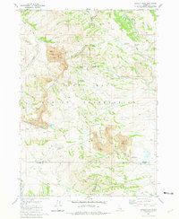 Download a high-resolution, GPS-compatible USGS topo map for Lincoln Peak, ID (1981 edition)