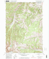 Download a high-resolution, GPS-compatible USGS topo map for Livingston Creek, ID (1984 edition)