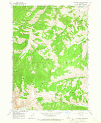 preview thumbnail of historical topo map of Custer County, ID in 1964