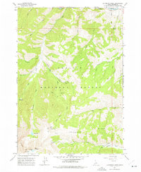 Download a high-resolution, GPS-compatible USGS topo map for Livingston Creek, ID (1977 edition)