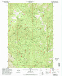 Download a high-resolution, GPS-compatible USGS topo map for Lodge Point, ID (1999 edition)
