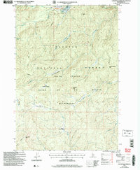 Download a high-resolution, GPS-compatible USGS topo map for Lodgepole Creek, ID (2007 edition)
