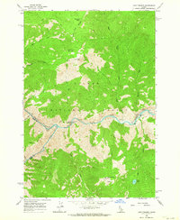 Download a high-resolution, GPS-compatible USGS topo map for Long Tom Mtn, ID (1964 edition)