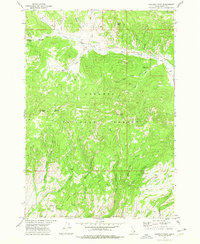 Download a high-resolution, GPS-compatible USGS topo map for Lookout Point, ID (1976 edition)