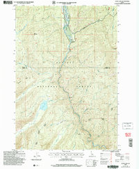 Download a high-resolution, GPS-compatible USGS topo map for Loon Lake, ID (2007 edition)