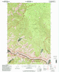 Download a high-resolution, GPS-compatible USGS topo map for Mackay Bar, ID (1999 edition)