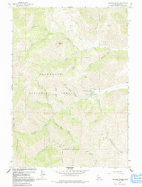 Download a high-resolution, GPS-compatible USGS topo map for Mahoney Butte, ID (1991 edition)