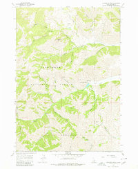 Download a high-resolution, GPS-compatible USGS topo map for Mahoney Butte, ID (1980 edition)
