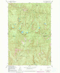 Download a high-resolution, GPS-compatible USGS topo map for Mallard Peak, ID (1991 edition)
