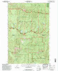 preview thumbnail of historical topo map of Shoshone County, ID in 1994