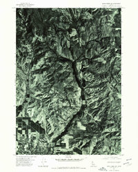 Download a high-resolution, GPS-compatible USGS topo map for Mann Creek SW, ID (1975 edition)