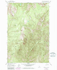 Download a high-resolution, GPS-compatible USGS topo map for Marble Butte, ID (1987 edition)