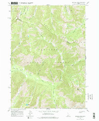 preview thumbnail of historical topo map of Camas County, ID in 1964