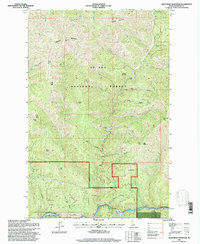 Download a high-resolution, GPS-compatible USGS topo map for Mastodon Mountain, ID (1997 edition)