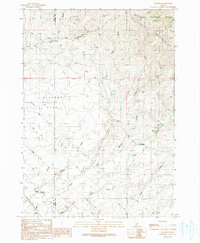 Download a high-resolution, GPS-compatible USGS topo map for Mayfield, ID (1991 edition)