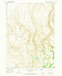 Download a high-resolution, GPS-compatible USGS topo map for Mc Mullen Basin, ID (1967 edition)