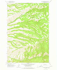 Download a high-resolution, GPS-compatible USGS topo map for McKinzie Creek, ID (1978 edition)