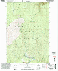 Download a high-resolution, GPS-compatible USGS topo map for Meadow Of Doubt, ID (2007 edition)