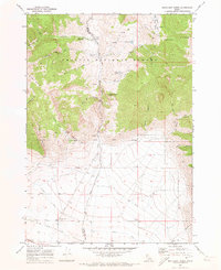 Download a high-resolution, GPS-compatible USGS topo map for Methodist Creek, ID (1973 edition)