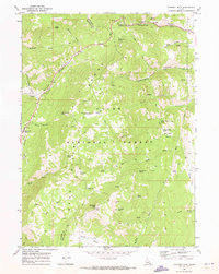 Download a high-resolution, GPS-compatible USGS topo map for Midnight Mtn, ID (1973 edition)
