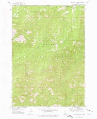 Download a high-resolution, GPS-compatible USGS topo map for Miller Mtn East, ID (1976 edition)