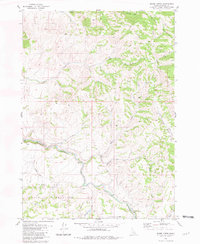 Download a high-resolution, GPS-compatible USGS topo map for Miner Creek, ID (1981 edition)